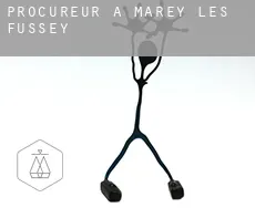 Procureur à  Marey-lès-Fussey