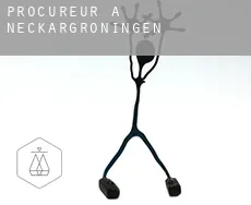 Procureur à  Neckargröningen