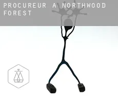 Procureur à  Northwood Forest