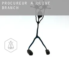 Procureur à Olive Branch