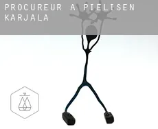 Procureur à Pielisen Karjala