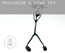 Procureur à  Pine Top