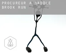 Procureur à  Saddle Brook Run