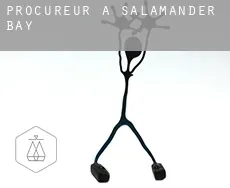 Procureur à  Salamander Bay