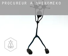 Procureur à  Shekomeko