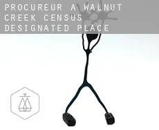 Procureur à  Walnut Creek