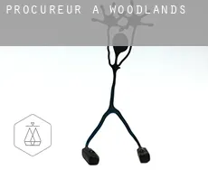 Procureur à  Woodlands