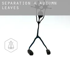 Séparation à Autumn Leaves