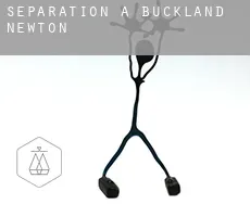 Séparation à  Buckland Newton