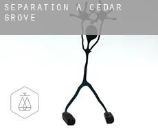 Séparation à  Cedar Grove