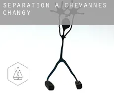 Séparation à  Chevannes-Changy