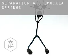 Séparation à  Chumuckla Springs