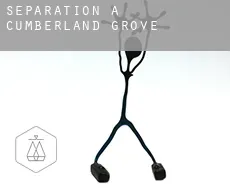 Séparation à  Cumberland Grove