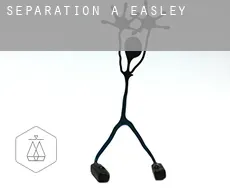 Séparation à  Easley