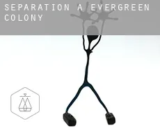 Séparation à  Evergreen Colony