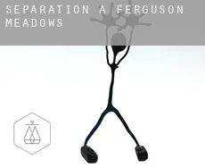 Séparation à  Ferguson Meadows