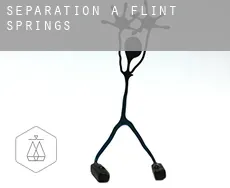 Séparation à  Flint Springs