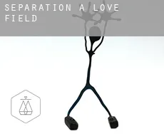 Séparation à  Love Field