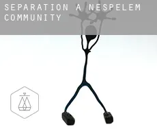 Séparation à  Nespelem Community