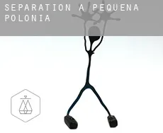 Séparation à  Voïvodie de Petite-Pologne