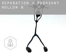 Séparation à  Pheasant Hollow N