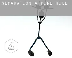 Séparation à Pine Hill