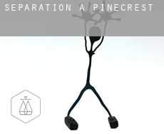 Séparation à  Pinecrest