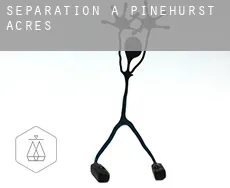 Séparation à  Pinehurst Acres