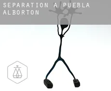 Séparation à  Puebla de Albortón