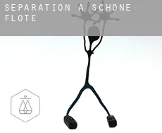 Séparation à  Schöne Flöte