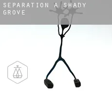 Séparation à  Shady Grove