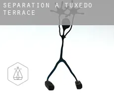 Séparation à  Tuxedo Terrace
