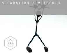 Séparation à  Vilopriu