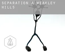 Séparation à  Weakley Hills