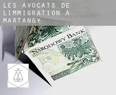 Les avocats de l'immigration à  Martangy
