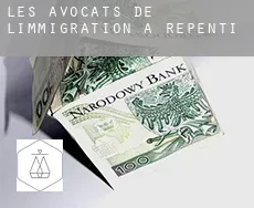 Les avocats de l'immigration à  Repenti