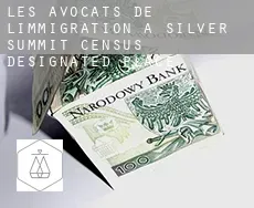 Les avocats de l'immigration à  Silver Summit