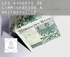 Les avocats de l'immigration à  Whitneyville