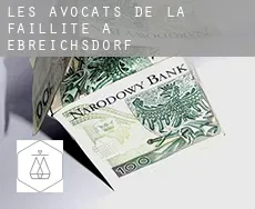 Les avocats de la faillite à  Ebreichsdorf
