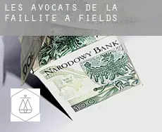 Les avocats de la faillite à  Fields