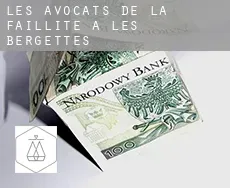 Les avocats de la faillite à  Les Bergettes