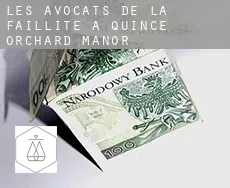 Les avocats de la faillite à  Quince Orchard Manor