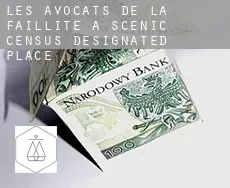 Les avocats de la faillite à  Scenic