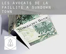 Les avocats de la faillite à  Sundown Town