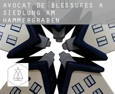 Avocat de blessures à  Siedlung am Hammergraben
