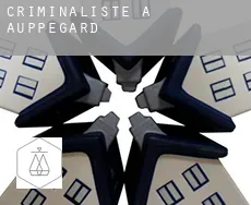 Criminaliste à  Auppegard