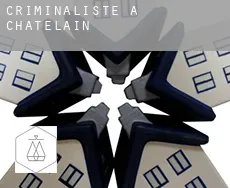Criminaliste à  Châtelain