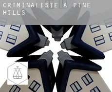 Criminaliste à  Pine Hills