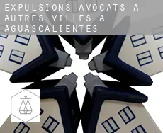 Expulsions avocats à  Autres Villes à Aguascalientes