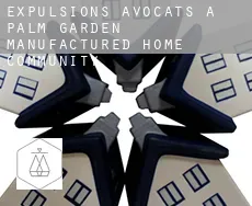 Expulsions avocats à  Palm Garden Manufactured Home Community